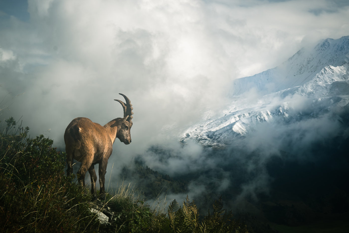The Horns of Mont Blanc